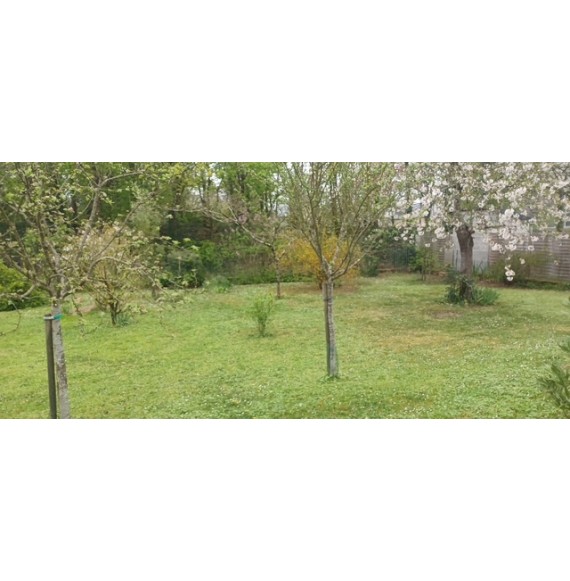 Charmante maison de type 4