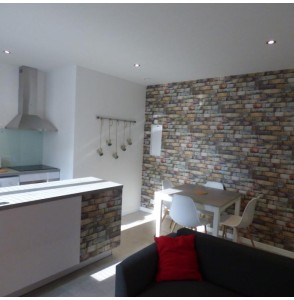 EXCLUSIVITE  Immeuble avec 3 appartements en TBE